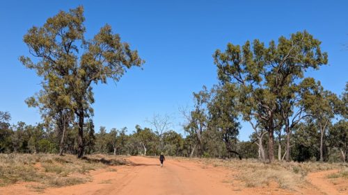 Ann walking a red dirst road in Queensland