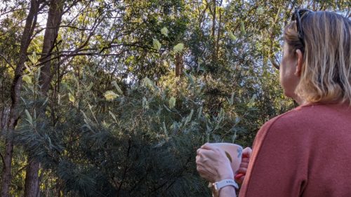 Woman looking at the trees with a cup in her hands